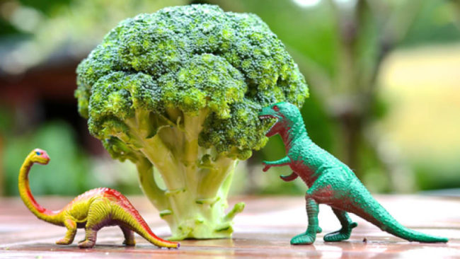 tischmanieren tischsitten verhalten beim essen tischmanieren tischsitten verhalten beim essen