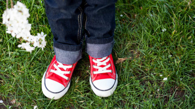 Kinder alleine lassen https://www.jan-uwe-rogge.de/buecher-cd-dvd/warum-raben-die-besseren-eltern-sind/